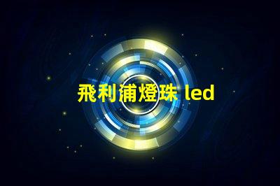 飛利浦燈珠 led 大燈